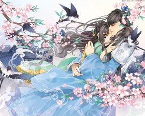 猫咪永久网站入